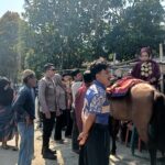 Bhabinkamtibmas Polsek Bambalamotu Amankan Acara Adat Mandar “Sayyang Pattuddu”