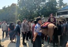 Bhabinkamtibmas Polsek Bambalamotu Amankan Acara Adat Mandar “Sayyang Pattuddu”