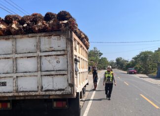 Sat Lantas Polres Pasangkayu Tindak Kendaraan Overload di Jalur Trans Sulawesi