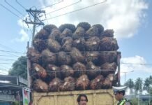 Bukan Sekadar Menindak! Polantas Pasangkayu Rangkul Sopir Truk Sawit Lewat Program Polantas Karib