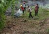 Bhabinkamtibmas Polsek Pasangkayu Bersama Warga dan Tim Gabungan Padamkan Kebakaran Lahan di Afd. India PT Pasangkayu