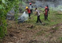 Bhabinkamtibmas Polsek Pasangkayu Bersama Warga dan Tim Gabungan Padamkan Kebakaran Lahan di Afd. India PT Pasangkayu