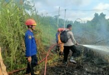 Kebakaran Lahan Melanda Lariang, Bhabinkamtibmas Pasangkayu Bersama Tim Gabungan Bergerak Cepat