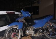 Motor Tabrak Sapi di Jalan Trans Sulawesi, Dua Pemuda Luka-luka