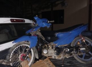 Motor Tabrak Sapi di Jalan Trans Sulawesi, Dua Pemuda Luka-luka