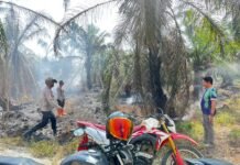 Puntung Rokok Diduga Picu Kebakaran, Bhabinkamtibmas dan Warga Bergerak Cepat Padamkan Api di Lariang