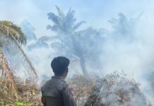 Polres Pasangkayu Gerak Cepat Datangi TKP Kebakaran Lahan di Jengeng Raya, Petugas Bantu Pemadaman