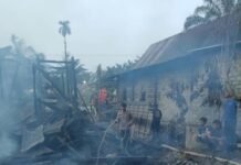 Rumah Panggung Warga Tamarunang Ludes Terbakar, Polsek Sarudu Gerak Cepat Datangi TKP
