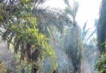 Bhabinkamtibmas Gerak Cepat Padamkan Kebakaran Lahan di Martajaya, Cegah Api Meluas ke Kebun Warga