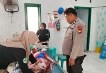 Polsek Sarudu Gerak Cepat Tangani Kecelakaan Dua Sepeda Motor di Dapurang, Empat Pelajar Terluka