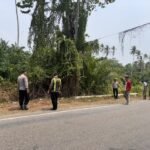 Tragis! Kecelakaan Tunggal di Bambaira, Satu Penumpang Meninggal Dunia