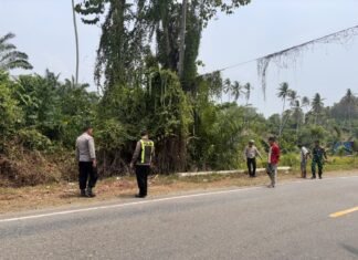 Tragis! Kecelakaan Tunggal di Bambaira, Satu Penumpang Meninggal Dunia