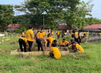 Polres Pasangkayu Pelihara Tanaman dan Hijaukan Lingkungan, Wujudkan Polri Peduli Kelestarian Alam