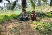 Cegah Kebakaran Lahan, Bhabinkamtibmas Desa Doda Imbau Warga Tidak Membakar Sembarangan