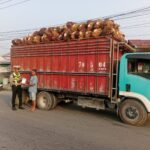 Cegah Kecelakaan dan Kerusakan Jalan, Sat Lantas Polres Pasangkayu Imbau Sopir Truk Sawit Tertib Muatan