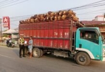 Cegah Kecelakaan dan Kerusakan Jalan, Sat Lantas Polres Pasangkayu Imbau Sopir Truk Sawit Tertib Muatan