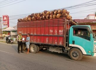 Cegah Kecelakaan dan Kerusakan Jalan, Sat Lantas Polres Pasangkayu Imbau Sopir Truk Sawit Tertib Muatan